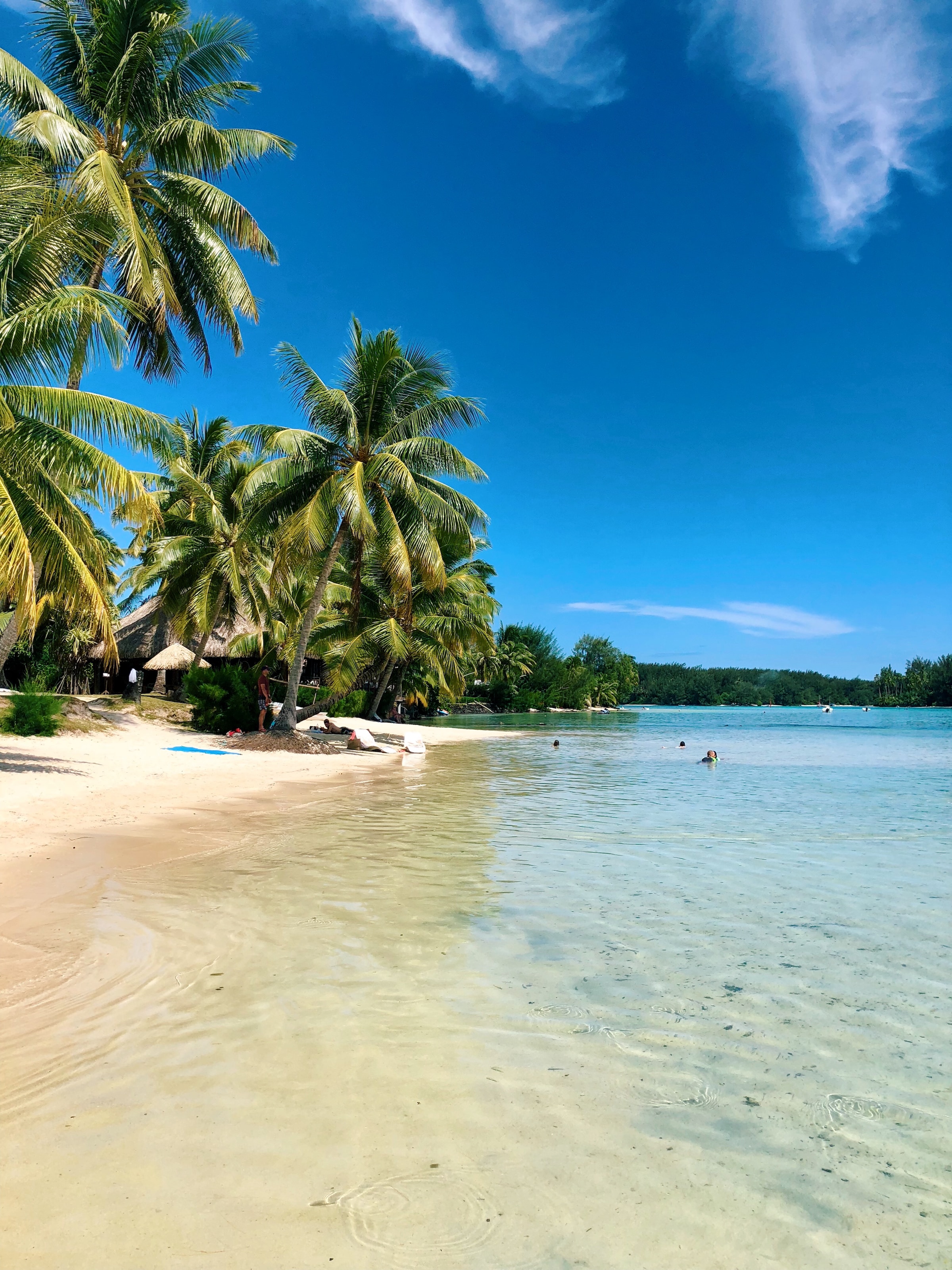 Paradise Found: Discovering Bora Bora in French Polynesia with TourHawker