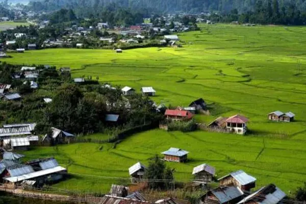 Nature and Wildlife in Ziro