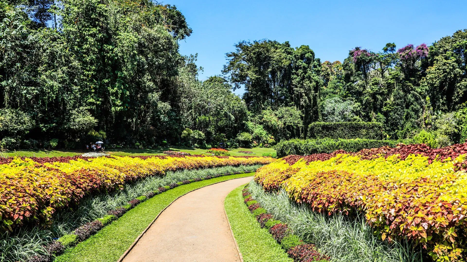 Sri Lankas Coast Tour Spice Garden Tour