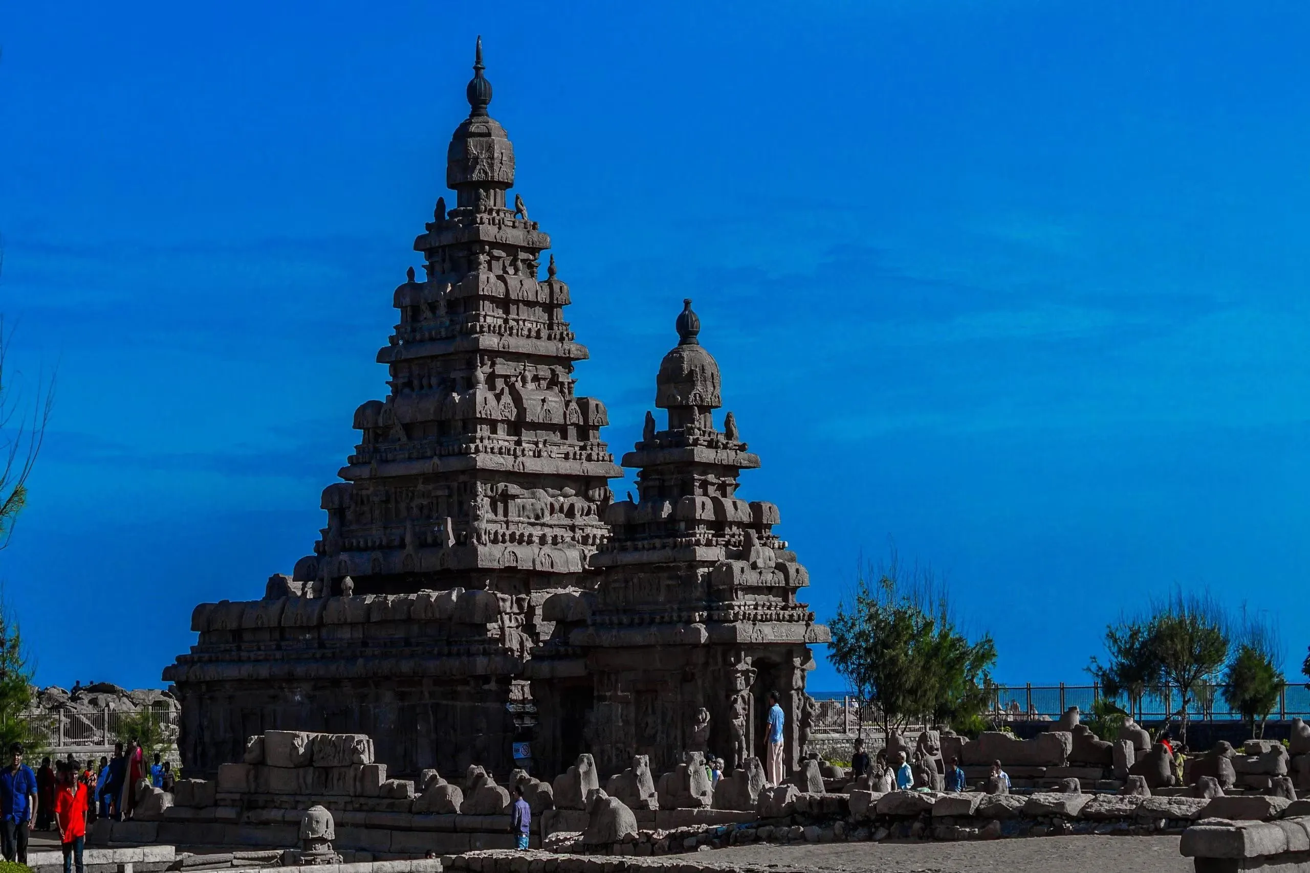 Temple and Beach Tour of Tamil Nadu