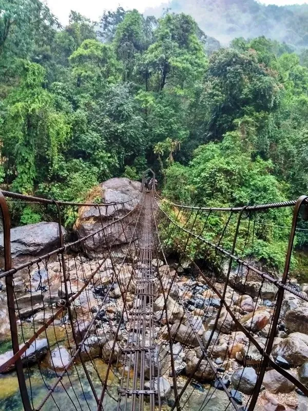 Kaziranga Meghalaya Wildlife