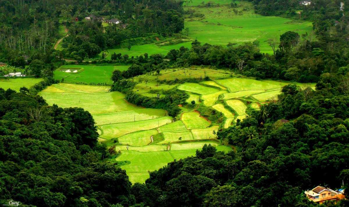 Natural Beauties Coorg Mysore and Ooty